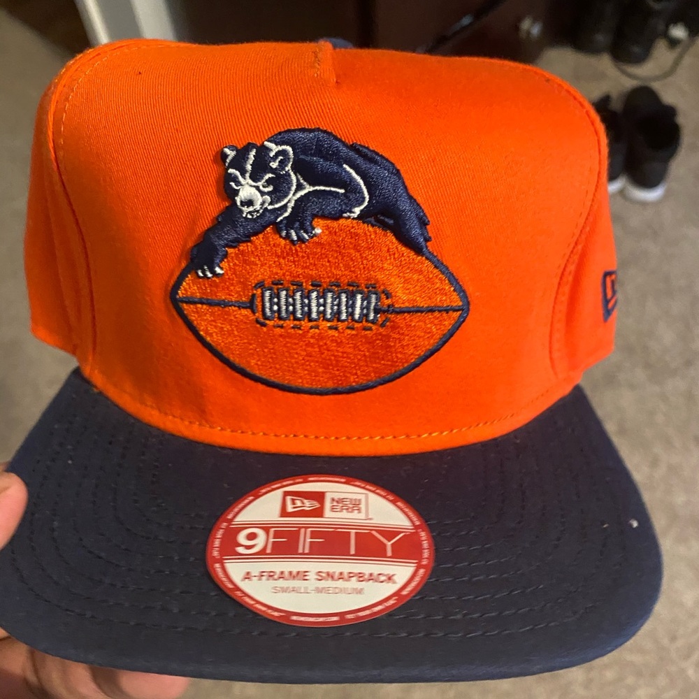 Chicago bears snap back